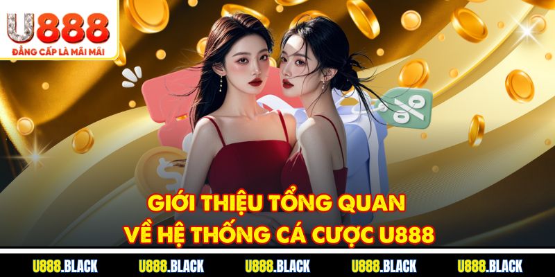 Giới thiệu tổng quan về hệ thống cá cược U888
